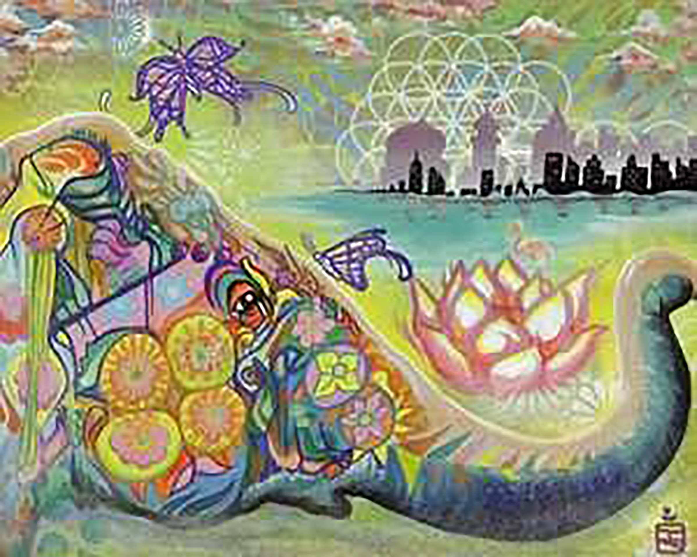 Elephant Lotus