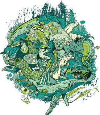 Algae