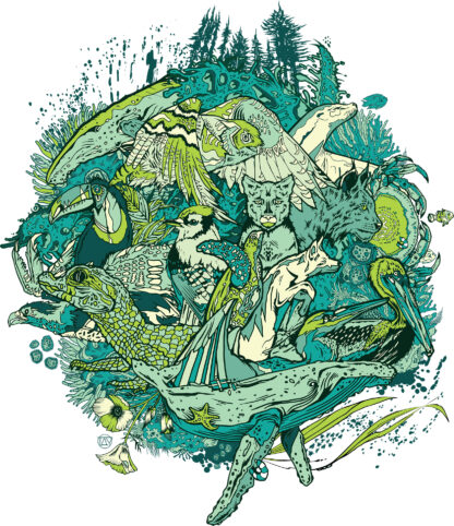Algae